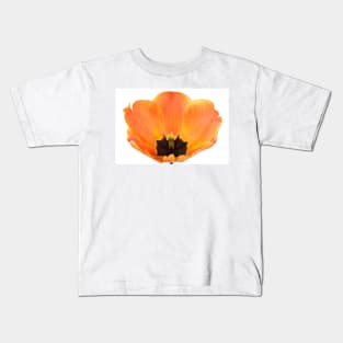 Tulipa  &#39;Apeldoorn&#39;s Elite&#39;   Darwin Hybrid Group  Tulip Kids T-Shirt